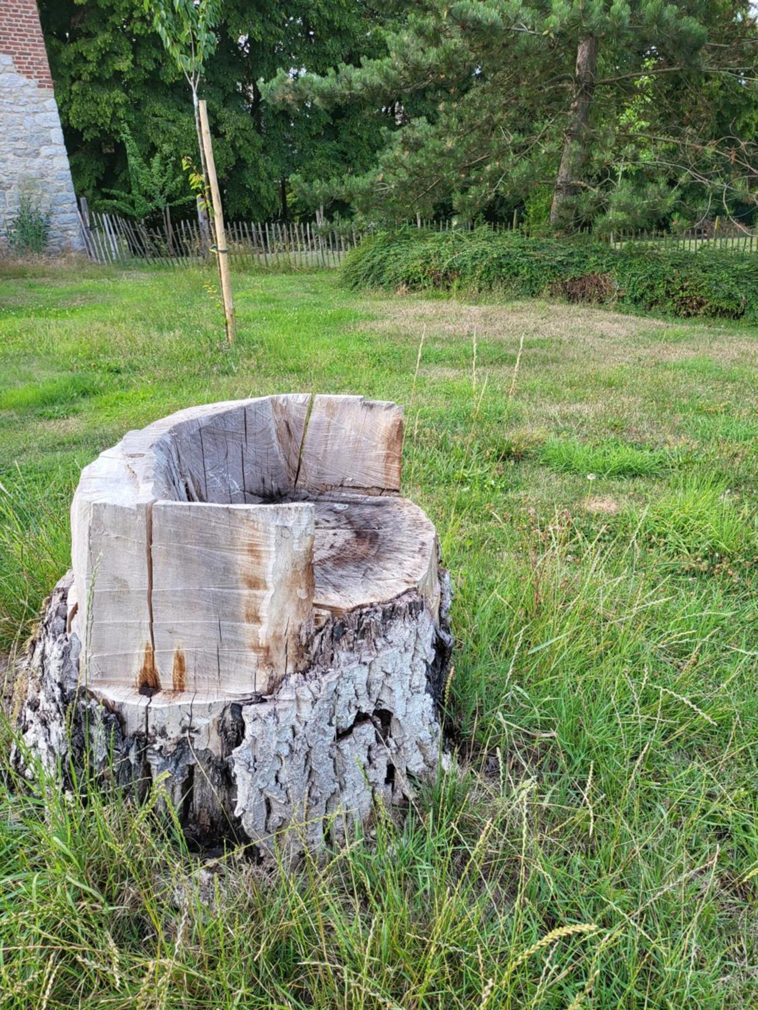 דינאן A La Salle De Jeux Et Son Jardin Autour De La Cabane Verte מראה חיצוני תמונה